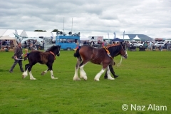 Trawden_Agricultural_Show_2016_16