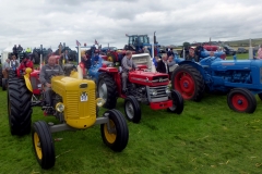 Trawden_Agricultural_Show_2016_56