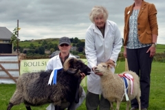 Trawden_Agricultural_Show_2016_6